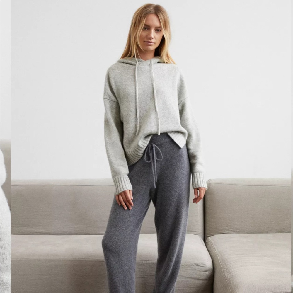 Aritzia Cashmere Hoodie